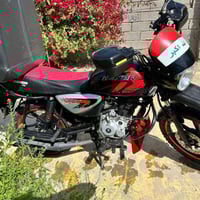 بوكسر للبيع جبلي رقم مجفته صار يومين شرط ما تسمع صوت بلادي تواصل راسلن...