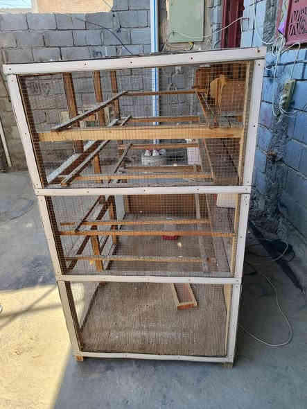 السلام عليكم قفص للبيع احطاطه نضيف سعره 80 وبي مجال قليل مكانه فلوجه ***********
