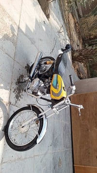 انتنس • سكنر • شاصي ٢٠٢٣