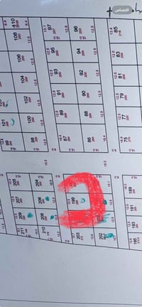 حي بدر الجديد • ١٠٠م • زراعي عقد ٢٥