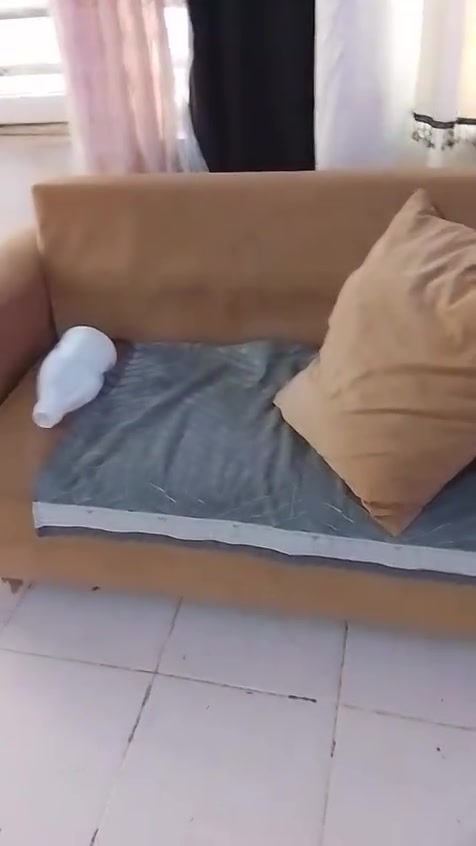 تخم للبيع السعر ٢٠٠ المكان اربيل


**إذا كنت صاحب هذا الإعلان وتريد حذفه لأي سبب، رجاءا أرسل رسالة إلى الدعم الفني**