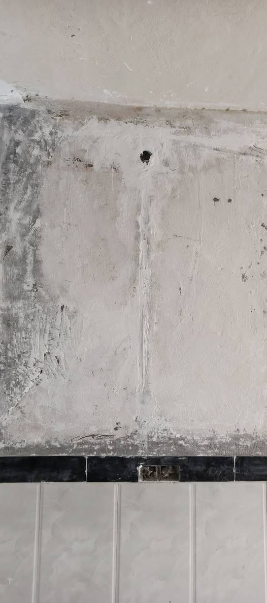 لجزء من عملي تصليح بورك وصبغ وكافت الصباغ والديكور وبأسعار مناسبه معه كادر اشتغل كافت اعمل صبغ لبخ زفت ترميم سيراميك عندي كادر كامل اتمنه ينال اعجابكم 

اتصال ***********
