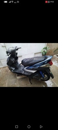 سكنس فحل نوزل . دراجه گدام عينك و تجي و تدلل السعر 400 . تلفون 0770786...