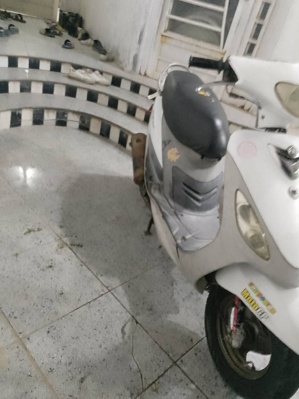 سلام عليكم
دراجه ماكس البيع بوشه 55 
شلعه معدل نعومه فول ما عوزها برغي الدراجه 
الشراي يجي خاص هذا رقمي 

***********
