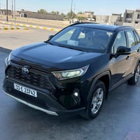 راف فور • ٢٠٢٣ • ضرر بنيد