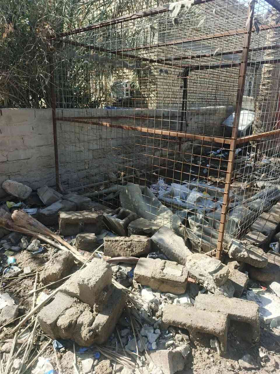 سلام عليكم قفص البيع الطول 3والعرض 2ونص والرتفاع 2ونص سعر 200وبيه مجال الشراي مكاني  سوق الشيوخ گرمة بني سعيد رقمي ***********
