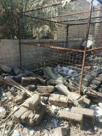 قفص • ٣م×٢٫٥م×٢٫٥م • سوق الشيوخ گرمة بني سعيد