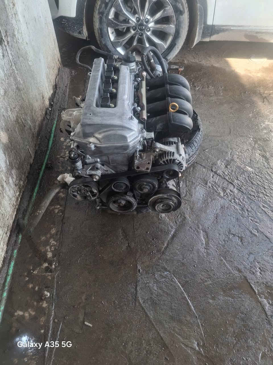 محرك وكيركورلا١٨٠٠ ضفيره وعقل تحويره ودراميات شفت مشتغله بالعراق السعر٦٠٠ دولار مكاني النجف  ***********
