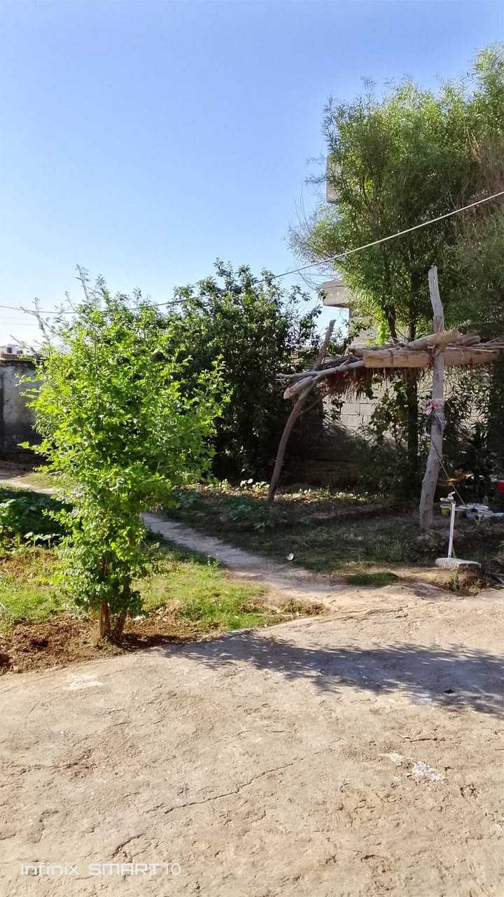 سلام عليكم بيع بيت مع كاع ارض زراعي ١١ دونم بيت بي غرف ٢+استقبال +مطبخ +صالة+صحيات داخلي+صحيات خارجيه +حديقة /مكاني واسط كوت قضاء عزيزية يم مشروع أبو فياض السعر خاص الاستفسار رقم[***********]
