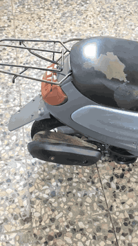 سلام عليكم خوان دراجه منغولي ام سله للبيع يل دراجه اخت الجديده صارلها 3 اشهر نازله من المعرض ما مفتوحه يل دراجه عارضها 650 أو بيها مجال المكان حيل عامل منطقه سابعه رقمي ***********
