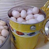 هێلکەی مراوی هۆڵەندیمان لایە ..هێلکەیەکی تازەو توخم دارە،ژ.م0772999730...