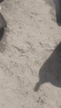 السلام عليكم شباب خدمات مالك المياحي بخدمة الناس الطيبه دائما بيع وشراء ومراوس جميع انواع الويل كبات والويل الحديد صبغ الويل الحديد والويل كب حراراي مع الضمان تعديل الويل كب بالجهاز جلي الويل كب مكاني بغداد حي أور مقابل نادي النفط خدمات مالك المياحي ***********
