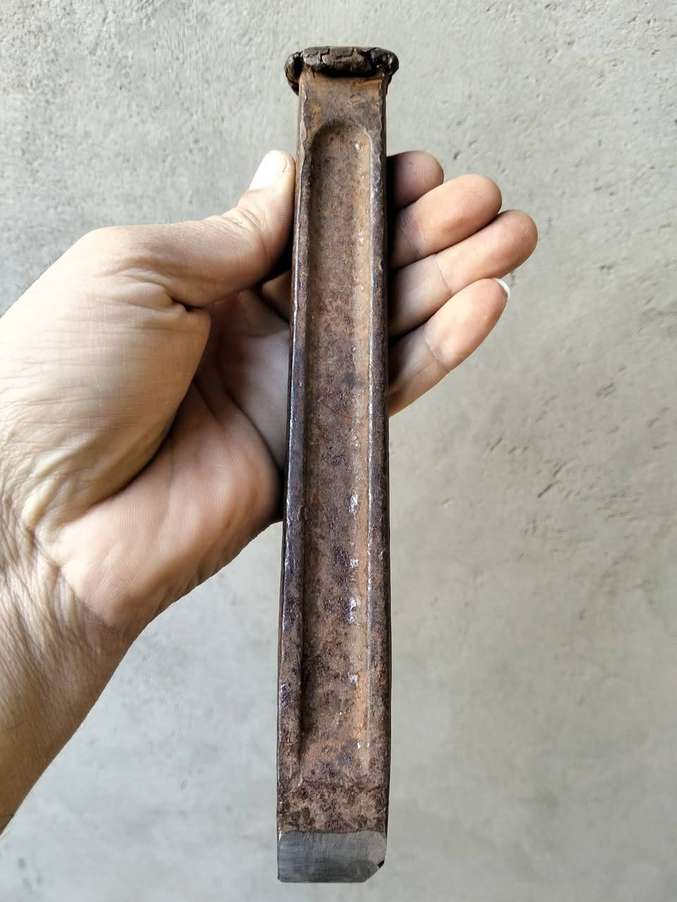 أجنه يونيور قديمه ........ بسعر ١٠٠
................. للمهتمين ٠١٠٦١٩٨٧٤٩١


**إذا كنت صاحب هذا الإعلان وتريد حذفه لأي سبب، رجاءا أرسل رسالة إلى الدعم الفني**