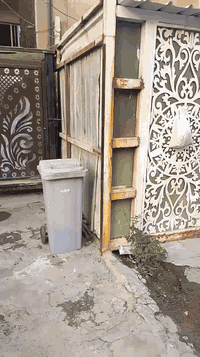 بيت للبيع المساحة 150 ملك صرف سكني سند مستقل يقع في بغداد منطقة الصليخ منطقة ال54 قرب جامع الحميد المجيد للاستفسار الاتصال على الرقم ***********
