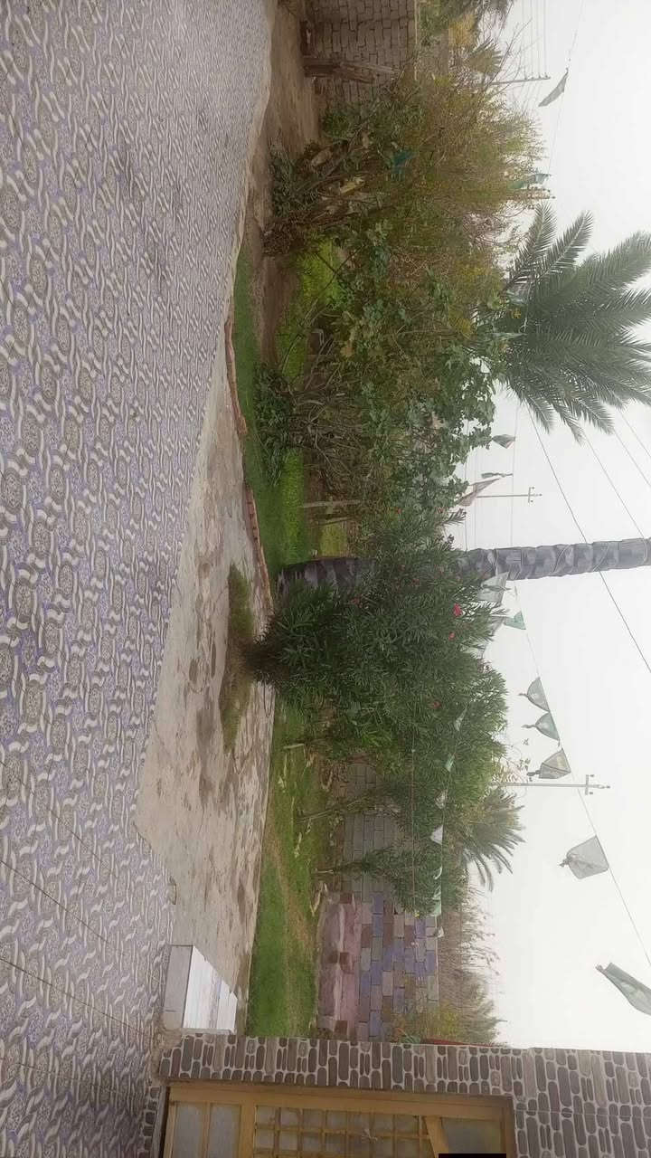 بيتين للبيع  يحتوي البيت الآۆلْ  على 4غرف  وستقبال اودوانيه  ومطبخ  اومخزن   ولبيت الثاني يتكون م̷ـــِْن 4غرف ومطبخ وصاله ومتوفر جميع الخدمات ماء كهرباء وتبليط واجها عله شارع مدارس قريبه وجامع ومستوصف  المكان ناصريه شطره قريه العوادالصديفه
للاستفسار خاص او ع لرقام ***********
