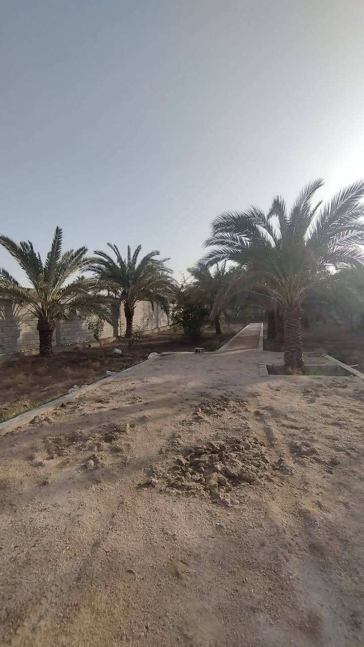 🌴 أرض على النهر للبيع – فرصة نادرة 🌊
📍 أبو الخصيب / محيلة
موقع هادئ وقريب من الخدمات
📐 المساحة: 1075 متر
📄 الطابو: زراعي (يدخل اسمك سهم بالطابو)
✨ مواصفات مميزة:
مسيجة بالكامل
واجهة على النهر مباشرة
على شارع تبليط عرض 10م
جميع الخدمات متوفرة
تحتوي على نخيل متنوع ومثمر
📌 تبعد عن شارع السايدين حوالي 300 متر فقط
💰 السعر: 260 مليون
⚠️ مكان مثالي للسكن، الاستراحة، أو الاستثمار
📞 للتواصل: ***********
