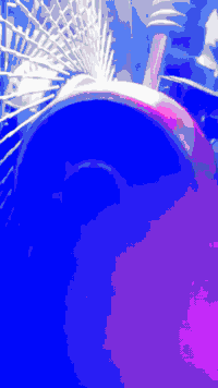 السلام عليكم دراجة نامة.  برو موديل 2019دراجة كاملة كهربائيات بلكامل شغالة جامرلوغ امامي جديد دشبول جديد لاتنقيص ولاتبخير محرك مفتوحه مره وحده اوراق كرتونية السعر 375وبيه مجال المكان جلولاء المرور للا ستفسار عل رقم *********** هاذ بي واتساب وهاذ اتصل علي ***********
