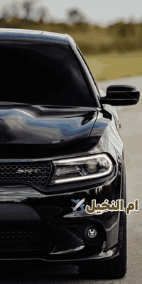 نقليات ام النخيل  
تكسي محافظات من الباب للباب
اربيل___موصل   (35الف)ذهاب واياب(60لف) وحسب الوقت والتاخير
موصل___سليمانيه  (110الف)ذهاب واياب(180لف)
موصل___دهوك       (30الف)ذهاب واياب(50الف)
ومتوفر استقبال من مطار اربيل  علئ مدار 24ساعه
او سفرات سياحية الئ مصايف الاقليم
سيارات حديثة
*********** 📞📩
*********** 📞📩
*********** 📞📩
