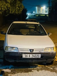 بيجو روا • ٢٠٠٩ • نجف