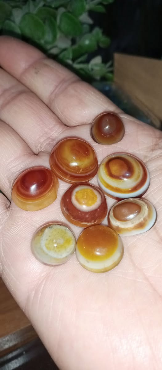 جزع يماني نخب أول
40 مع التوصيل كلهن


**إذا كنت صاحب هذا الإعلان وتريد حذفه لأي سبب، رجاءا أرسل رسالة إلى الدعم الفني**