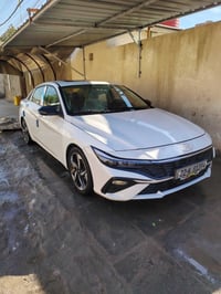 الانتره ٢٠٢٤ • تجمع صيني • مبدل