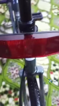 بسكليت • للبيع • فيه مجال