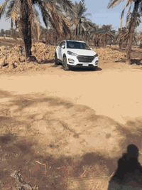 سلام عليكم توسان موديل 2020 خليجي رقم بغداد مكانها ميسان العماره سعرها 175
‏‪***********‬‏ ما متواجد نت سونار موجود
