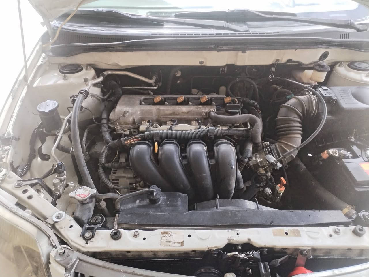 السلام عليكم
كورله بي كاتشو موديل 2007خليجي للبيع السياره جاهزه بدون نقص السعر 70وبي مجال قليل الاستفسار اكثر الرقم ***********
