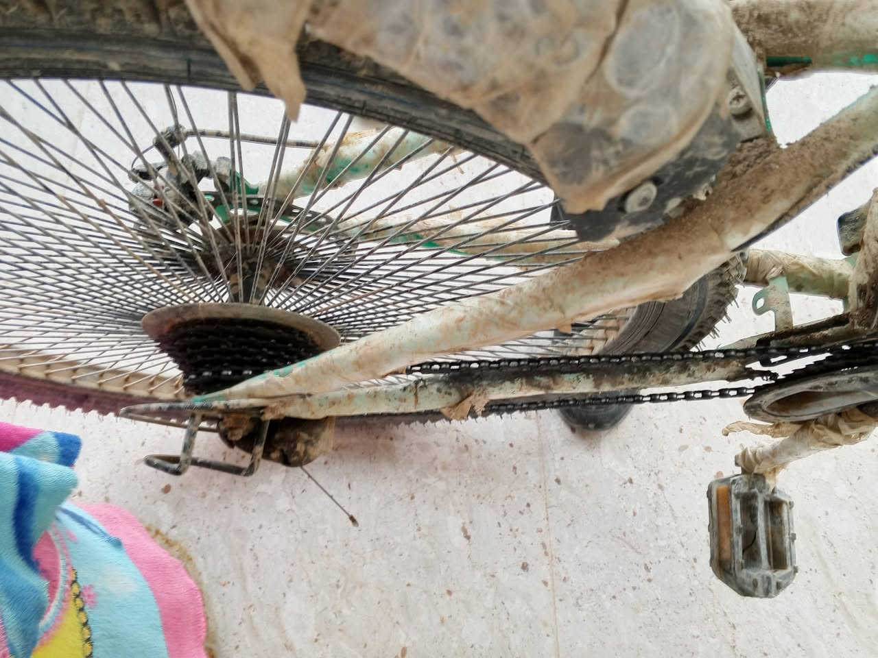 بايسكل سباقي 🚲
مستعمل شي قليل جداا 
بعدها لايلونات شركة بيها 
لونها كلش حلوة ومميز 
7 سرعة خلفي 3 سرعة امامي 
تاير الخلفي وامامي بريك رياضي مابيهن اي. مشكلة 
بايسكل تجي اذا مفتوح منها برغي لاتشتريها مابيها نقطة زنجار يعني بعدها بجيس شركة 
سعر 150 الف وبي مجال قليل للشراي 
*********** واتساب ايضا موجود رجاء الي مو شراي لايتعبني
