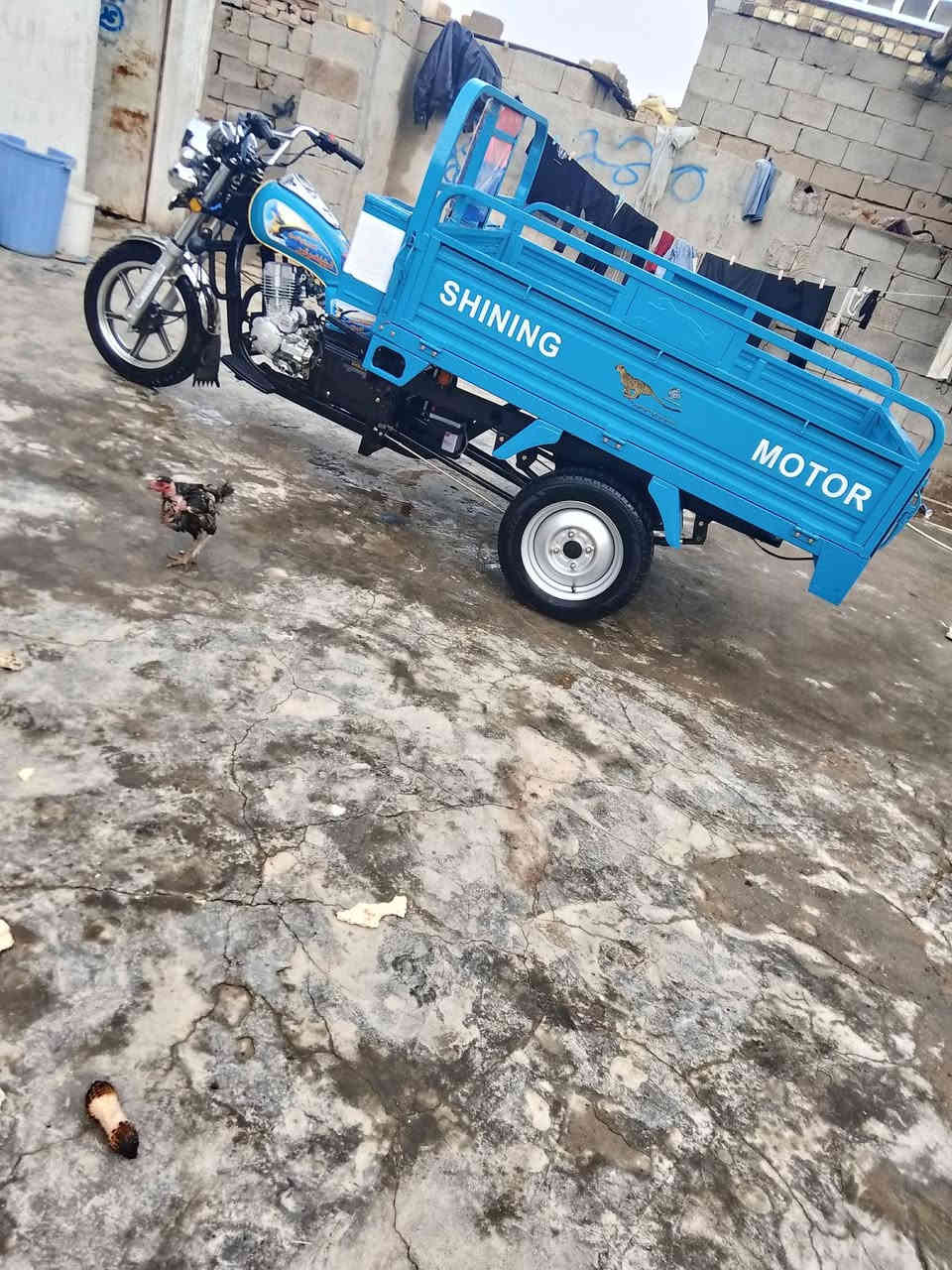 سلام عليكم ستوته للبيع جمره فحل موديل 23طالعه ب25 ماصارالها شهر من طالعه كفاله عامه  من الزلغه السعر 2,700وبيها مجال لشراي مكاني ميسان قلعه صالح الشراي ينتصل علا 📞***********
