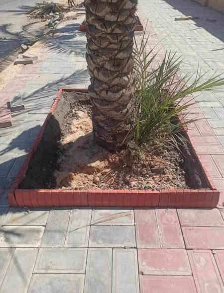 السَلٱمٌ عـَلـْيگمّ- عمل انواع المقرنص
عمل ساقيه ±عمل كربستون±  ±
عمل بازلت± عمل كابات.±          [ شغل درجه اولئ امانه اللـۿـہٰ ورسوله ] شرط تسليم مهندس نشتغل بغداد وجميع  المحافضات 🇪🇬🇪🇭🇪🇸🇬🇮🇫🇯🇬🇦🇪🇨🇪🇹🇫🇰🇬🇮
للتواصل اتصل عل الارقام
***********
