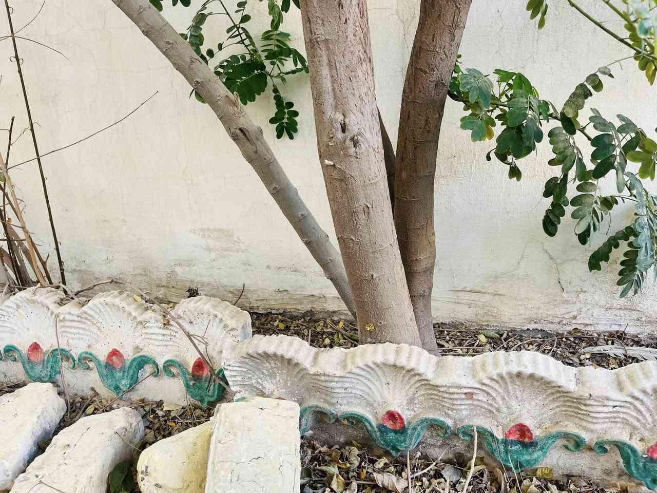 للبيع١٢متر ١٧قطعه


**إذا كنت صاحب هذا الإعلان وتريد حذفه لأي سبب، رجاءا أرسل رسالة إلى الدعم الفني**