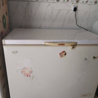 مجمدة • للبيع