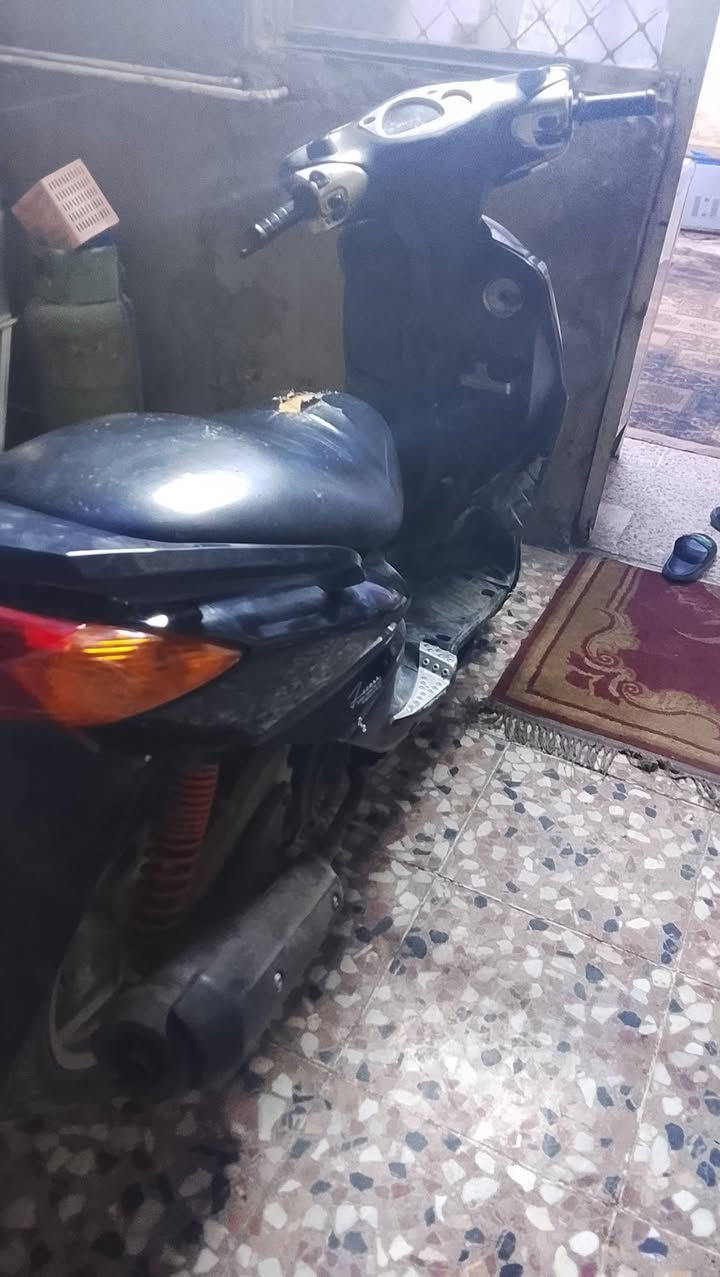 سكنس للبيع مجففه مره واحده ***********
