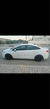كروز ٢٠١٩ • وارد أمريكي • ضربة بنيد