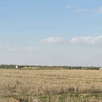 حصرياً وبسعر روعه اليوم جمعنه مزارع عدد 2 بمنشور واحد 1-شارع الخزيفي  ...