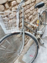 باسكل • رصاصي • ٢٧