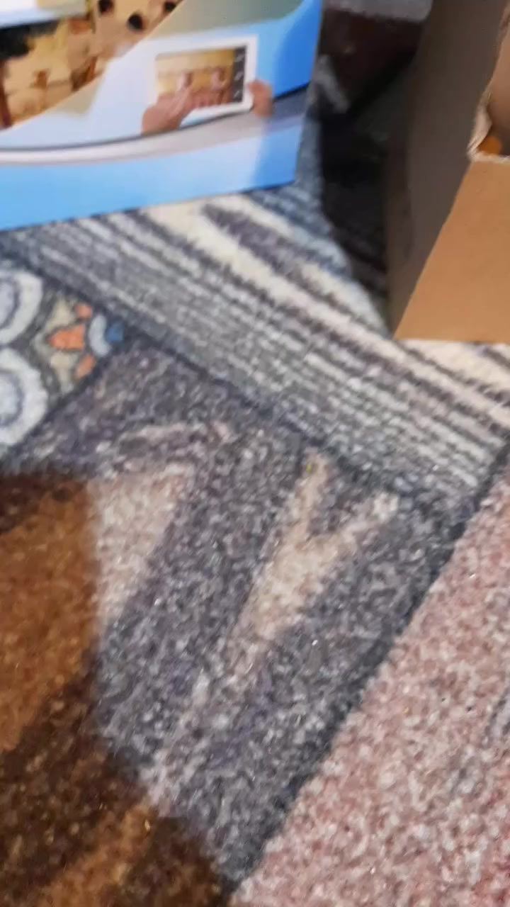 سلام عليكم كامرات بسعر شبه بلاش تفاصيل بلفيديو
يوجد توصيل بصره 5 محافظات 6

ارخص الاسعار


**إذا كنت صاحب هذا الإعلان وتريد حذفه لأي سبب، رجاءا أرسل رسالة إلى الدعم الفني**