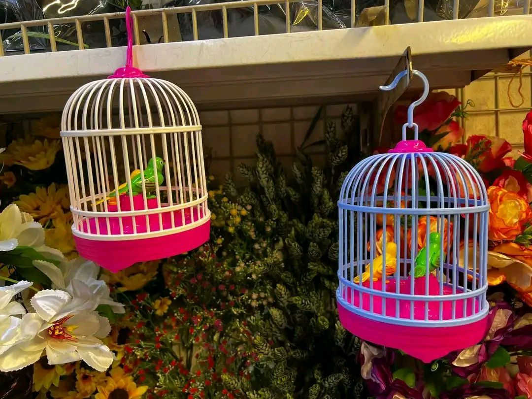 لعبة أطفال قفص طيور ناطق ويغرد


**إذا كنت صاحب هذا الإعلان وتريد حذفه لأي سبب، رجاءا أرسل رسالة إلى الدعم الفني**