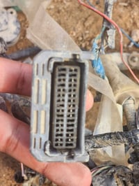 فيش جويتر • عقل بصمة • توصيل المحافظات