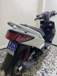 سكنس كوري • فحل • نقص امامي