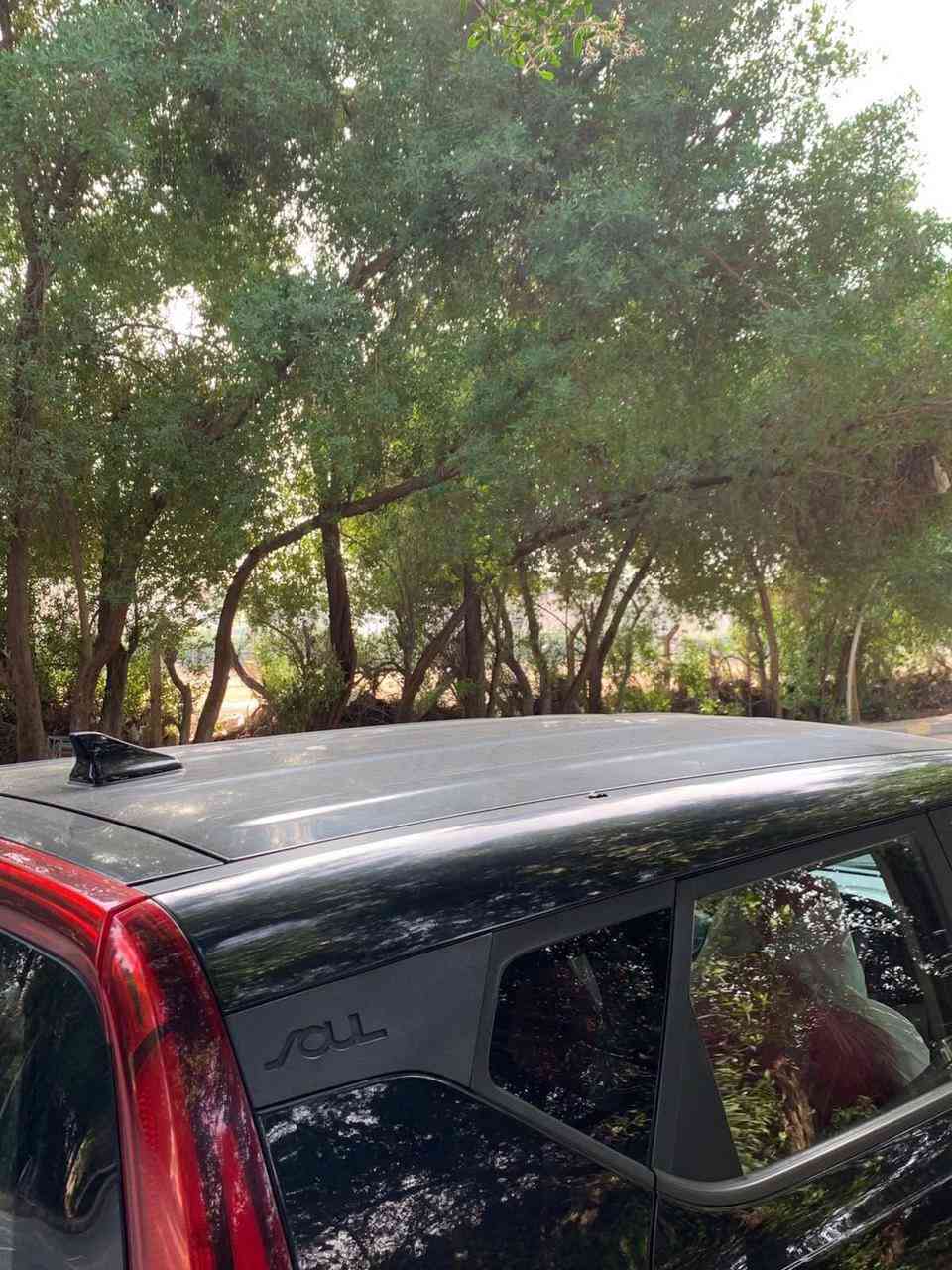 سلام عليكم :
كيه صول موديل 2020
وارد امريكي قطعتين جاملغ وبنيد مبدل بلادي تبريد ثلج ويل كب بلادي شاشه تحكم ستيرن تخم تاير جديد سياره جاهزة كامره دواره محرك 2000 دوش رقم بغداد انكليزي مصفرة وبسمي هزة جديدة السيارة جاهزه وكشرها كدام عينك السعر 125  مكان السيارة نجف الي تعجبه يراسلني خاص


**إذا كنت صاحب هذا الإعلان وتريد حذفه لأي سبب، رجاءا أرسل رسالة إلى الدعم الفني**