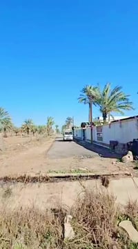 📢 إعلان رقم 897  ✦────────────────────✦  السلام عليكم ورحمة الله وبركا...