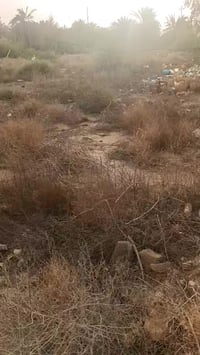 الصخيين طريق الجامعة • ٢٠٠م • قريبة عالشارع