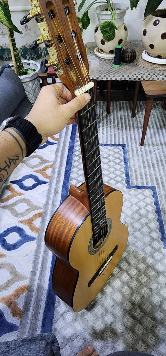 كيتار بريفادا كلاسيك ايطالي فلامنكو صوته كلش راقي يحتاجله فقط تبديل اوتار لان اوتاره قديمه وهنا عازفلكم بي طبعا الكيتار من ٢٠١٨ عندي اخذته ٢٤٥ ورايده للبيع بسعره ١٧٠ بي طخات بسيطه كلش


**إذا كنت صاحب هذا الإعلان وتريد حذفه لأي سبب، رجاءا أرسل رسالة إلى الدعم الفني**