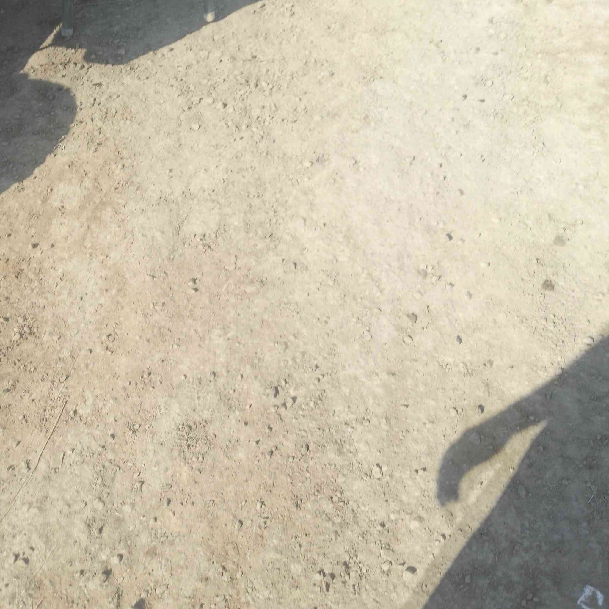 السلام عليكم توجد سحبات زرعيه البيع العنوان ديوانيه المهناويه الستفسار ***********
***********
