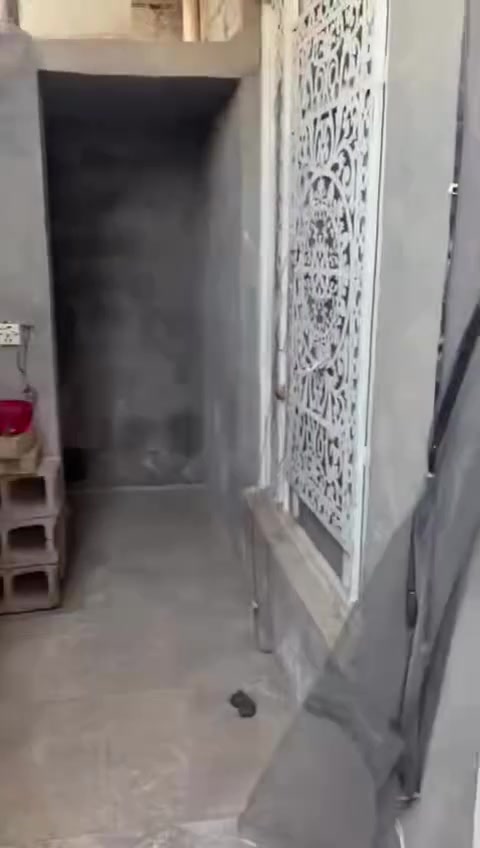 بيت للبيع زراعي (وقف)بكميره خلف جامع حجي صبر يحتوي ع مدخلين للبيت  وهول وحولي كبير ومطبخ وخدمات والطابق الثاني يحتوي غرفتين نوم وخدمات  مساحه 60متر 
هاتف ***********  وات ساب او اتصال
