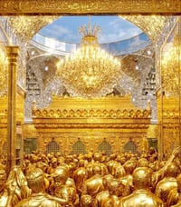 زيارة رجبية • مبيت النجف • كوستر حديثة