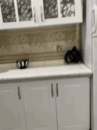 كوانتر مستعمل • بيبان خشب HDF • توصيل مجاني