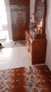 غرفه البيع الشراي يراسلني يشهد الله  اشتريته مليون وثمنميه وماستعملته شهر لأن شلت كربله ومايقبلون يطببوه هسه عرضته البيع إلي يريده يراسل وبي خير ويدلل


**إذا كنت صاحب هذا الإعلان وتريد حذفه لأي سبب، رجاءا أرسل رسالة إلى الدعم الفني**